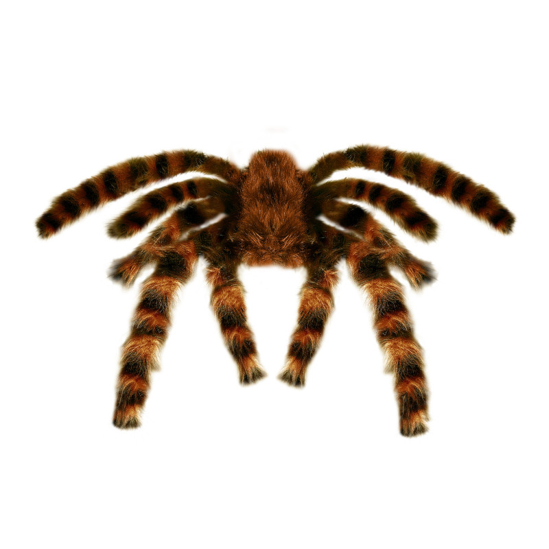 Dekorácia tarantula 65 cm